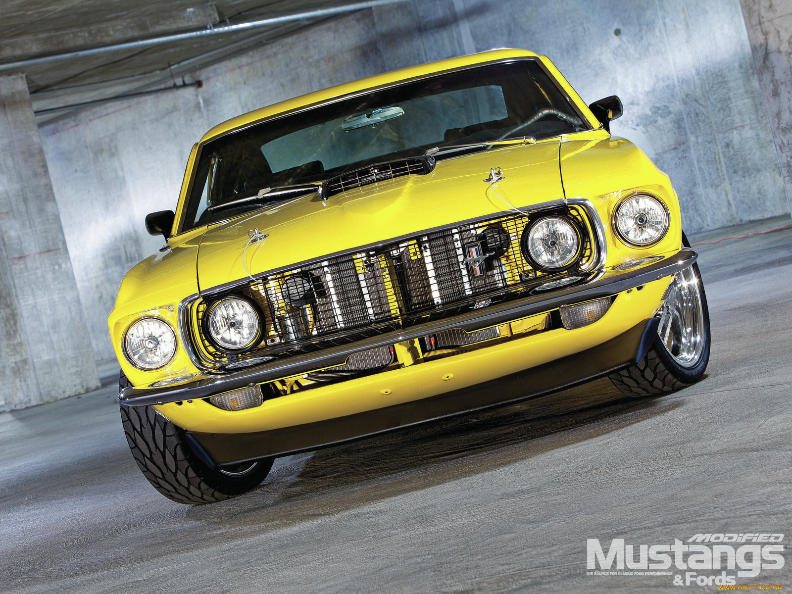 , mustang